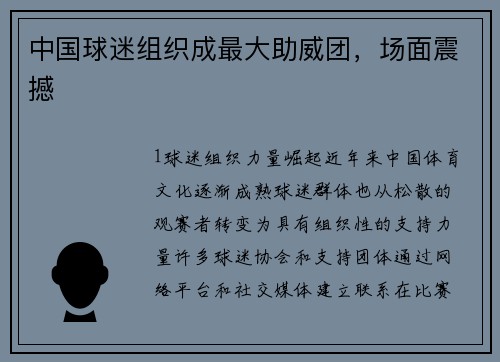 中国球迷组织成最大助威团，场面震撼
